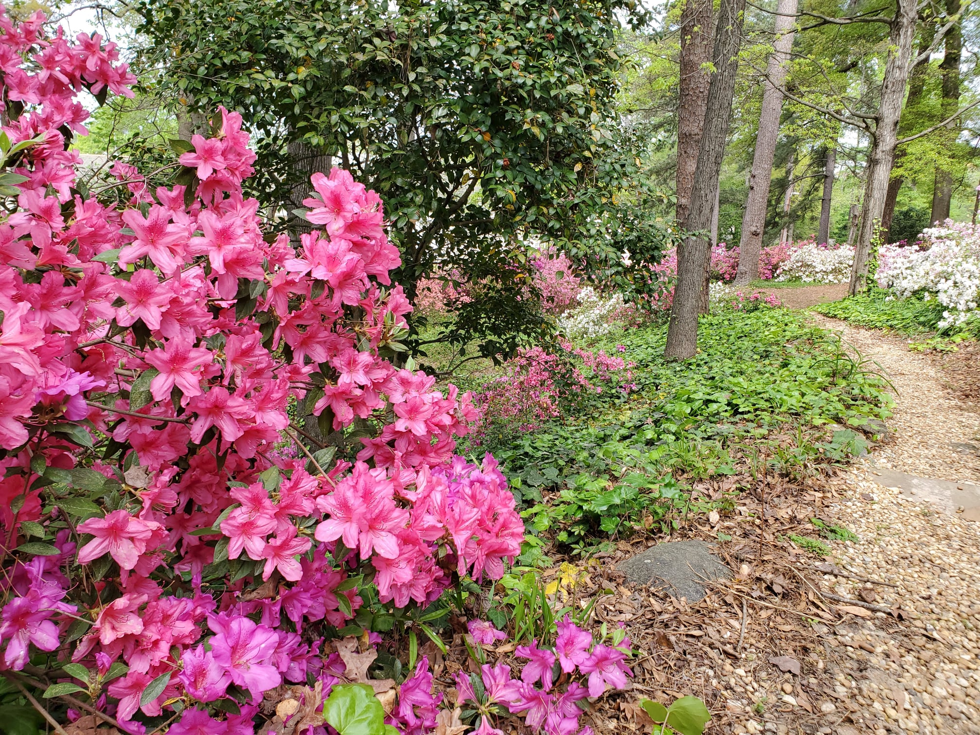 164505039_4204041632961204_6579462997276739092_n